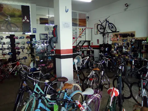 Imagen de Alquiler De Bicicletas En Tui - Bicitui