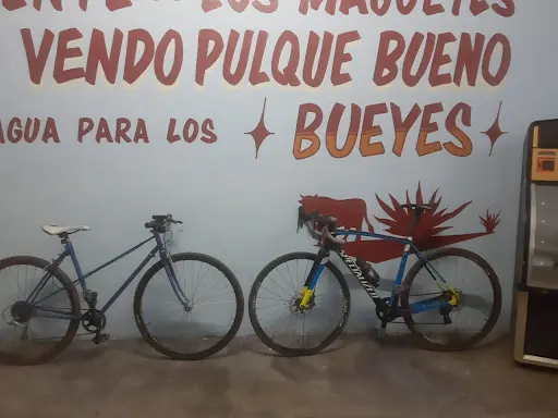 Imagen de Bi´alcho´ Cycling