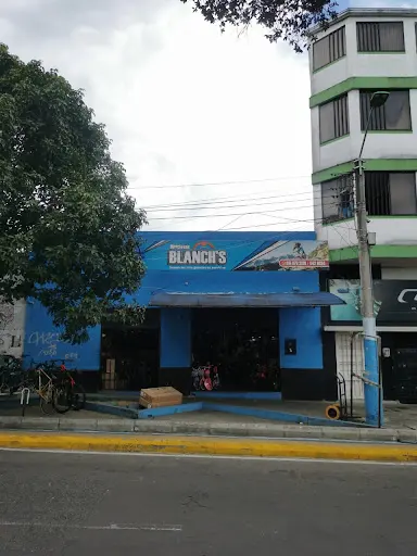 Imagen de Bicicleta Blanchs