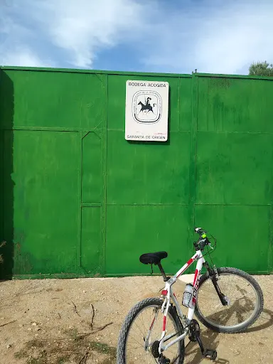 Imagen de Bicicletas 2 Ruedas