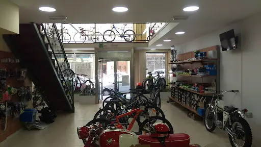 Imagen de Bicio Ortuna
