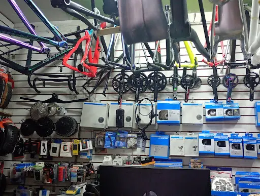 Imagen de Bicisantos
