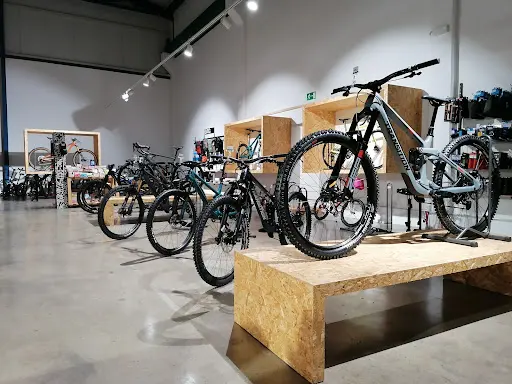 Imagen de Bikenea