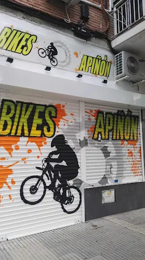 Imagen de Bikes Apiñon