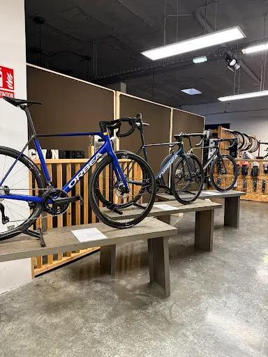 Imagen de Cayón Bikes