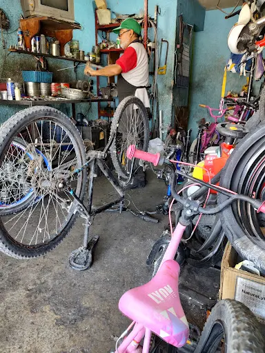 Imagen de Ciclo Fuerza