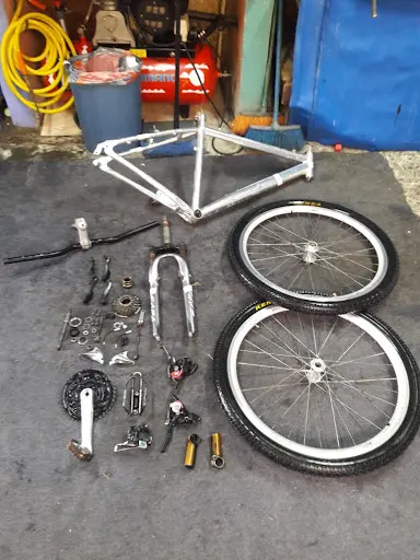 Imagen de Ciclo Vanessa