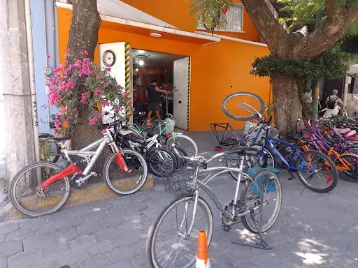 Imagen de Coyobike