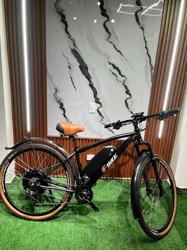 Imagen de E Bike Pereira