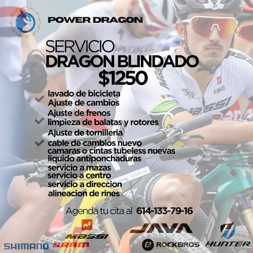 Imagen de Power Dragon