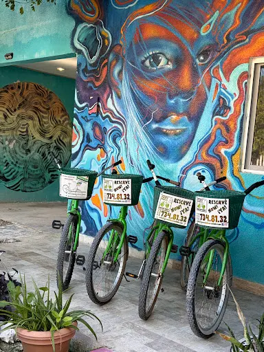 Imagen de Puerto Morelos Green Bikes