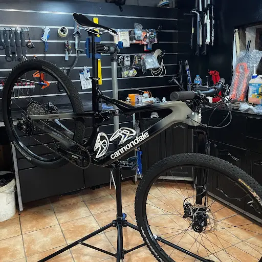 Imagen de Puma Bikes