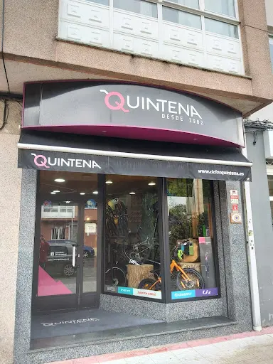 Imagen de Quintena (Bertamiráns)
