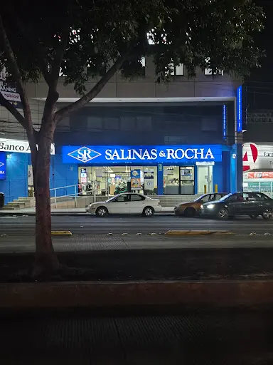 Imagen de Salinas Y Rocha