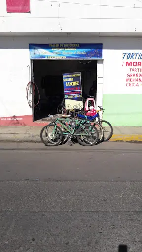 Imagen de Servicio Sánchez