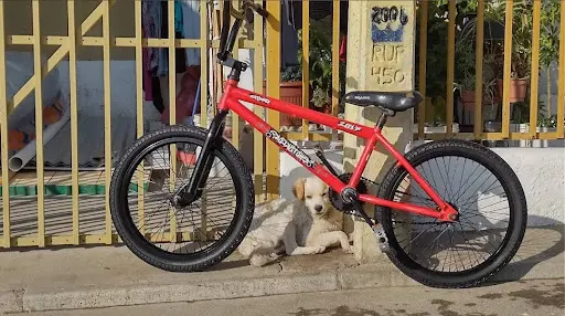 Imagen de Taller De Bicicletas Mg