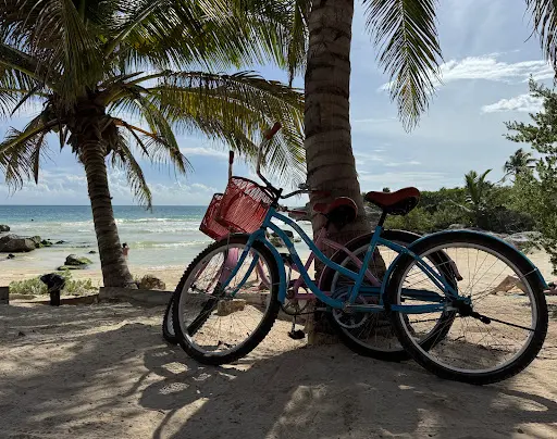 Imagen de Tulum Rental Co