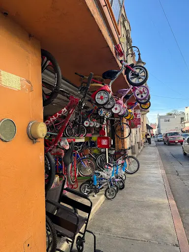 Imagen de Vics Probike