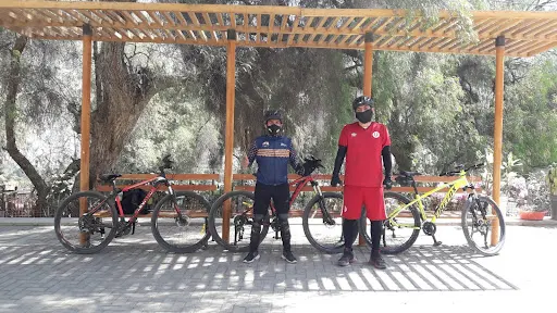 Imagen de Willy Bike Mtb