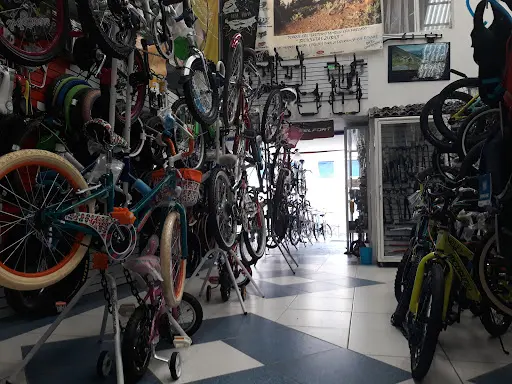 Imagen de Zubici