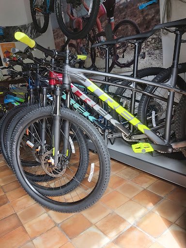 Taller de bicicletas Evolution Bike Store
