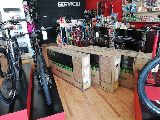 Taller de bicicletas Bikepro