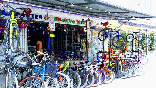 Taller de bicicletas Bici Partes El Pedal Loco