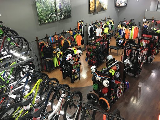 Taller de bicicletas Zona Bici Armenta